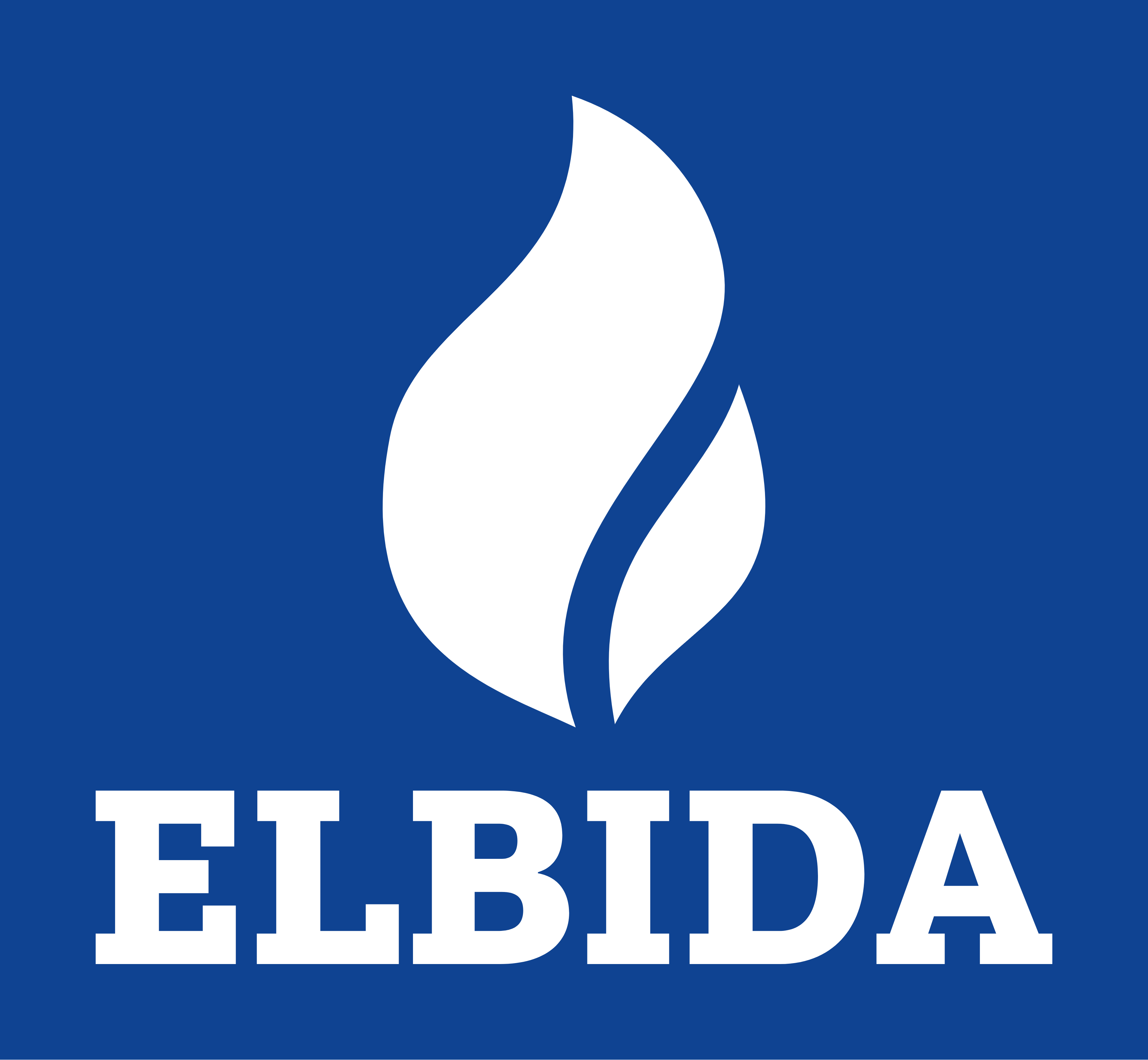 ELBIDA ICON